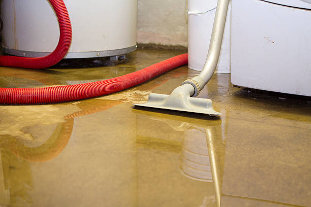 Carpet water damage restoration